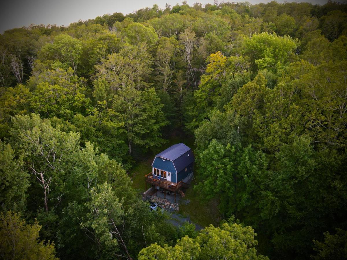 Mandy'S Mountain Chalet Dover Extérieur photo